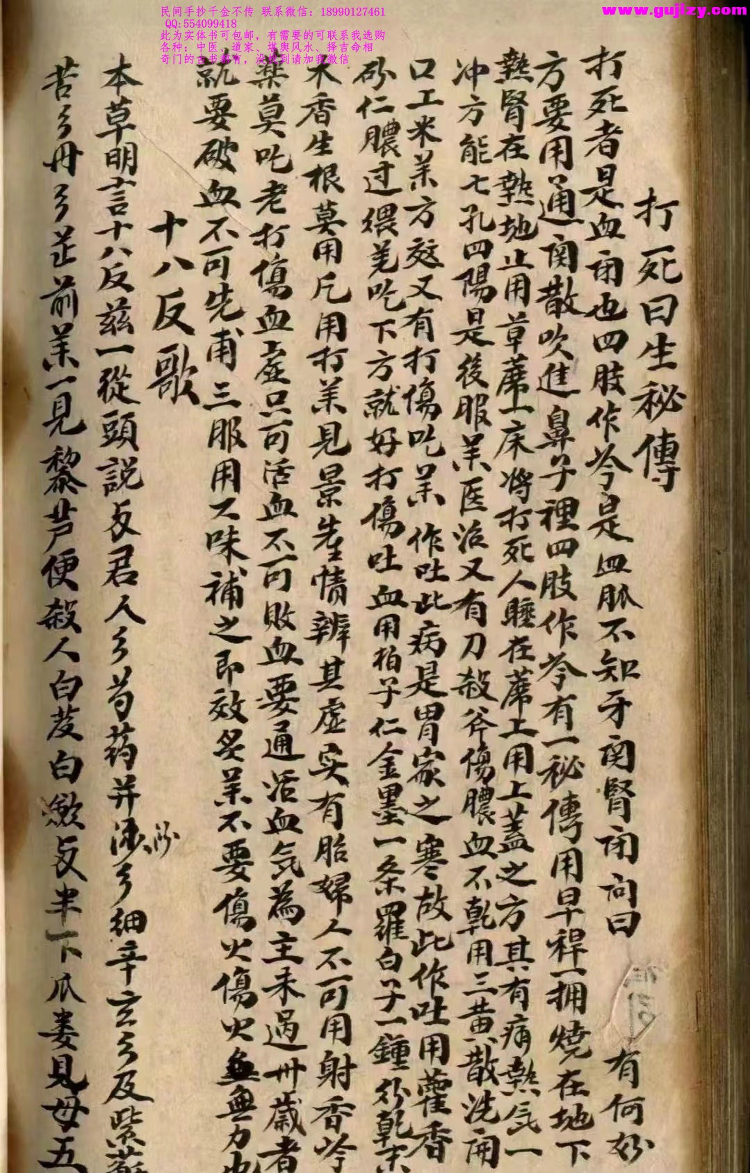 1725381365818.jpg