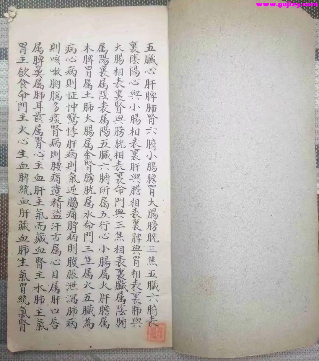1737380852440.jpg