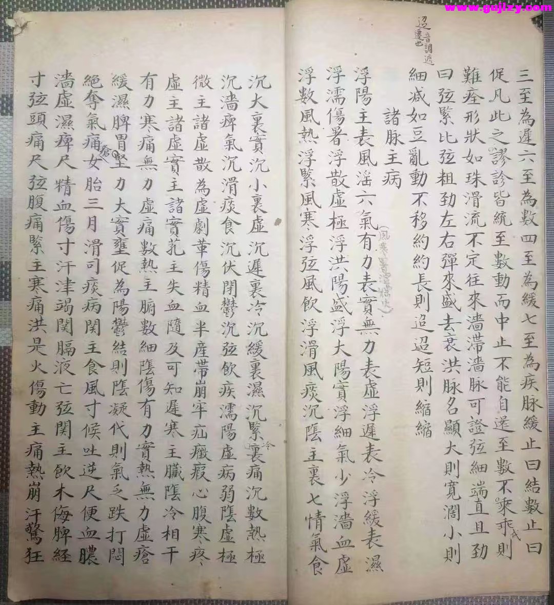 1737380856263.jpg