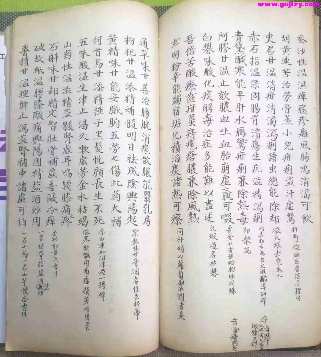 1737380869654.jpg