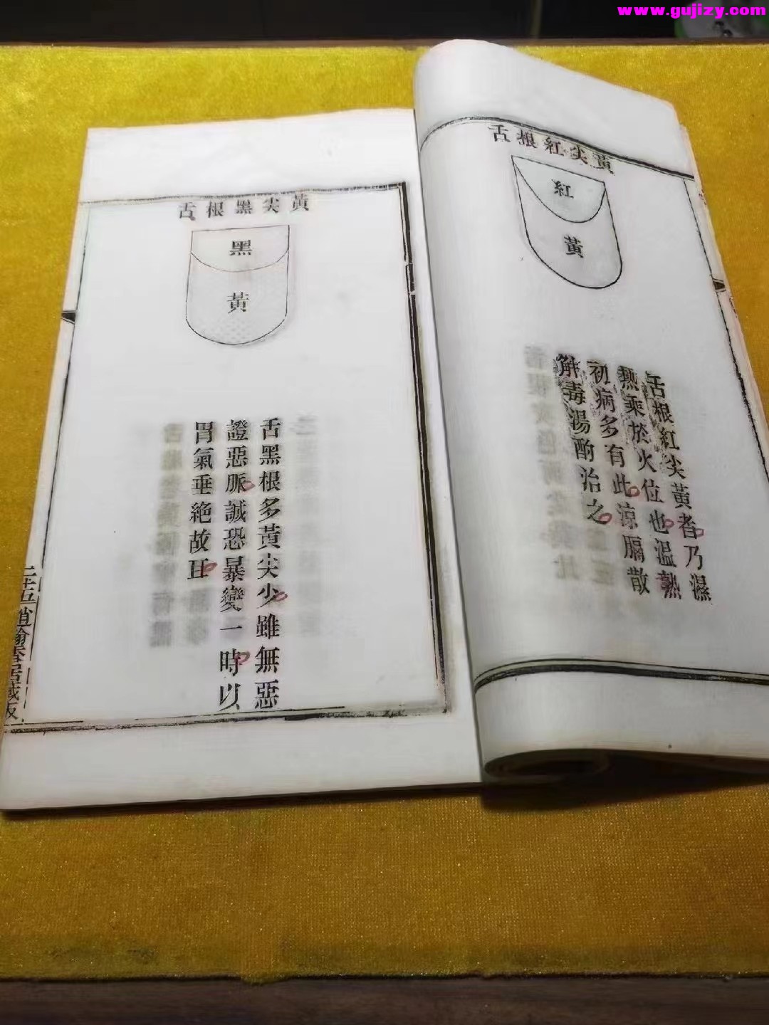 1723184366525.jpg