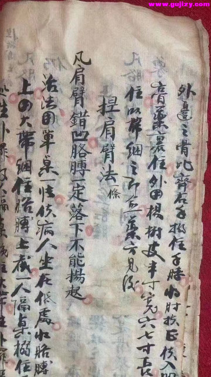 1722146226897.jpg