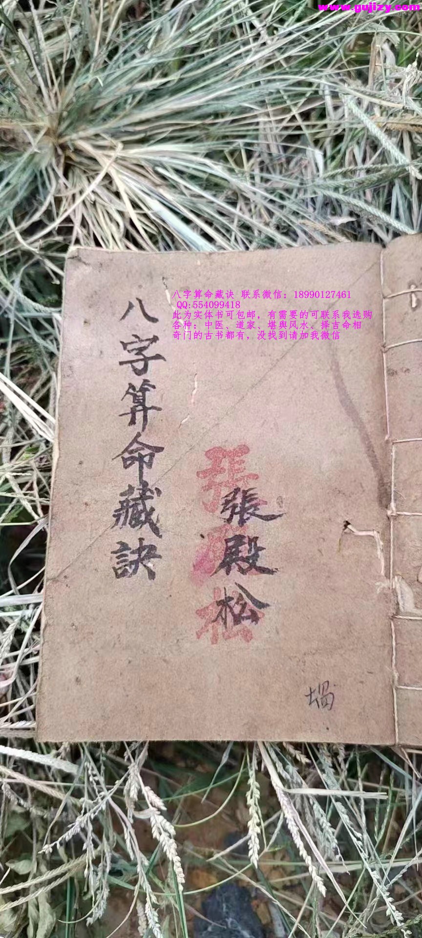 1725381701153.jpg