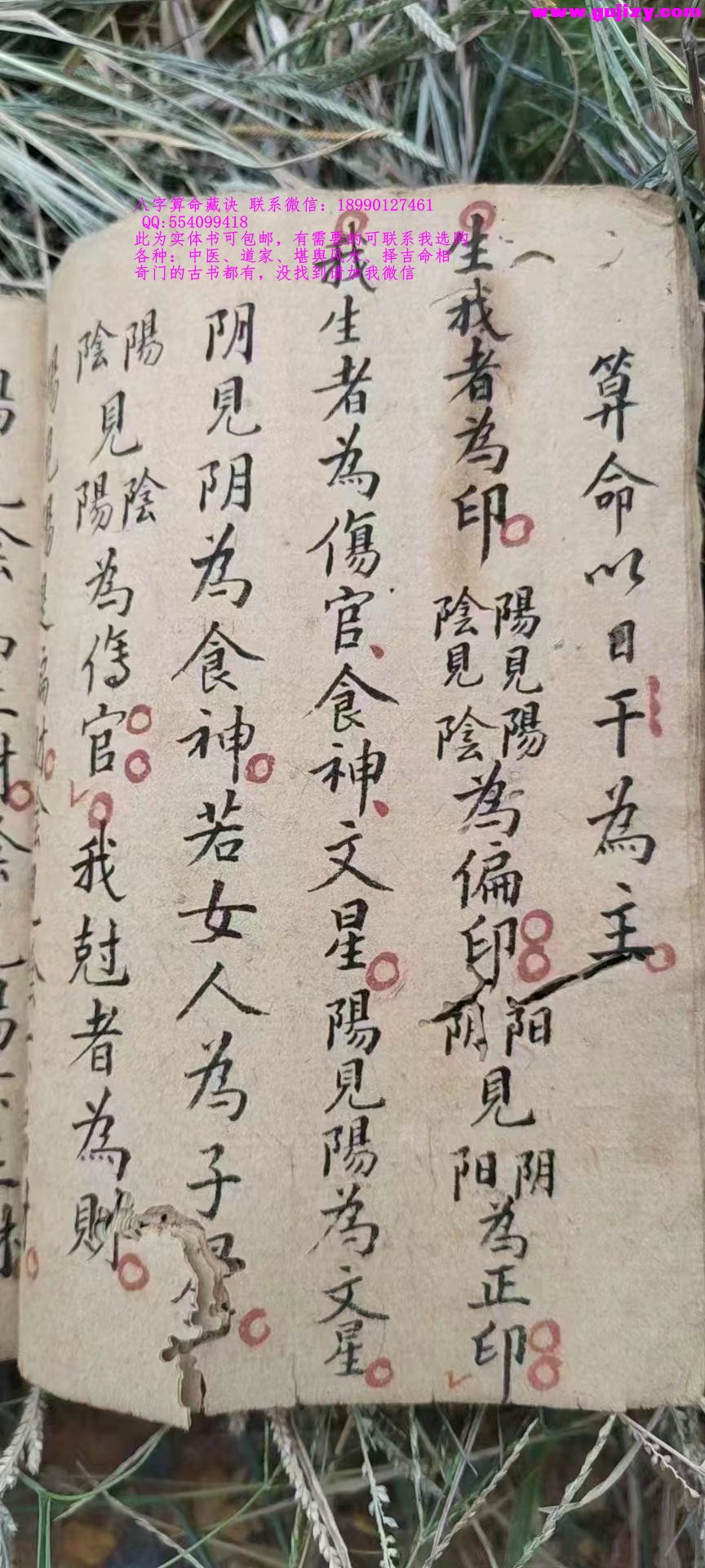 1725381703441.jpg