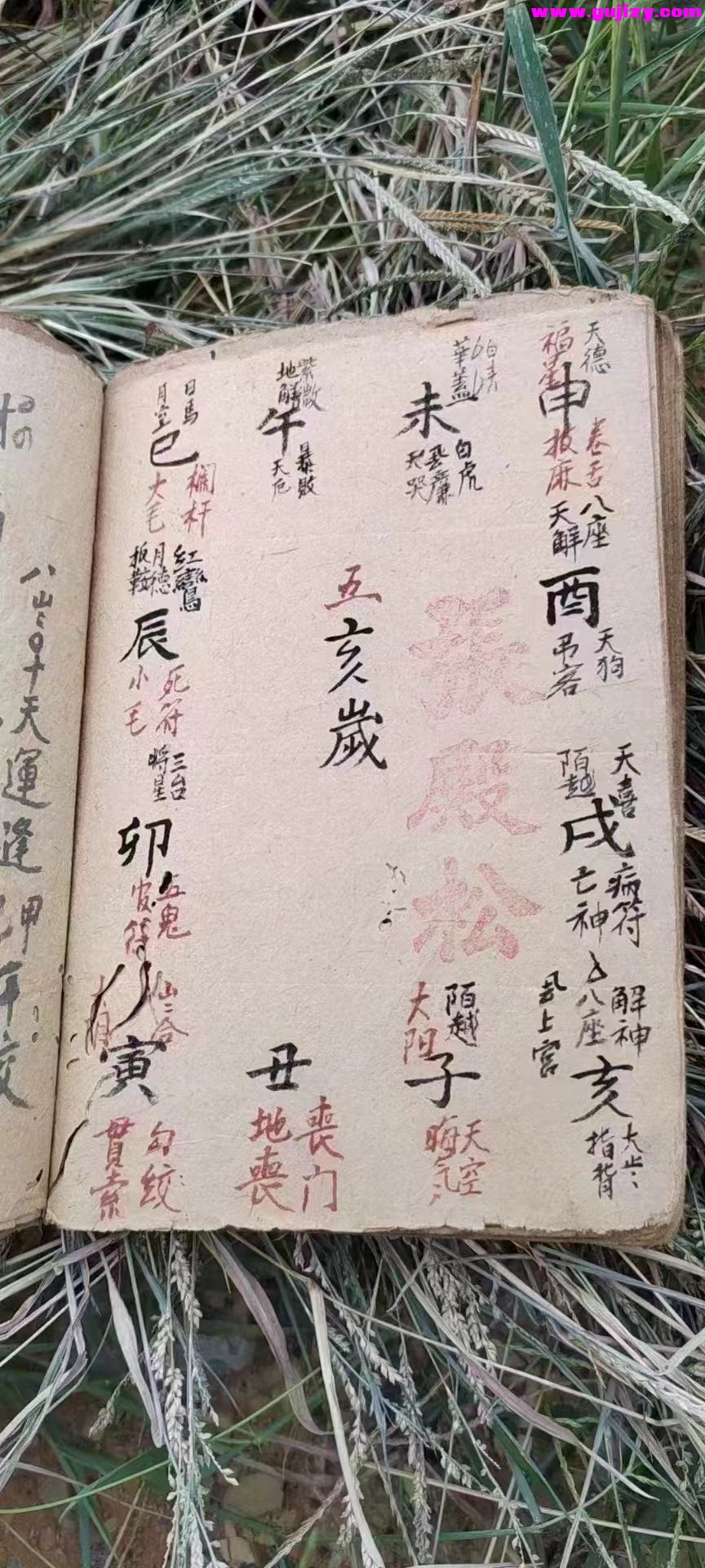 1725381713866.jpg