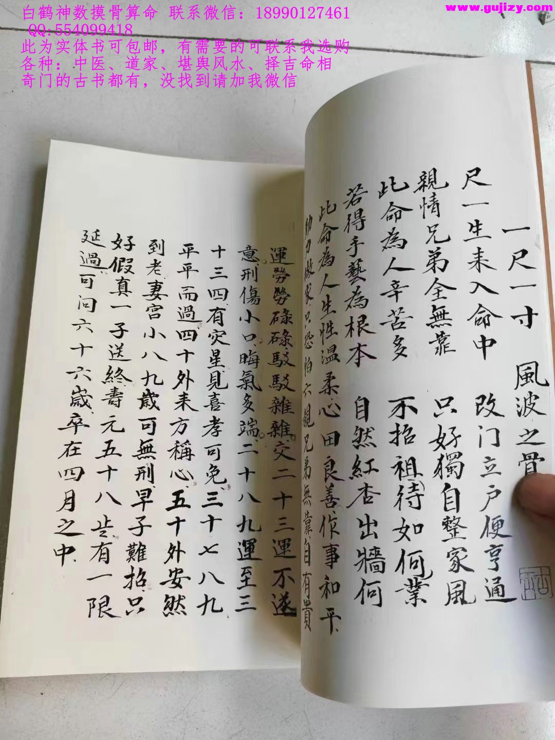 1725381804937.jpg