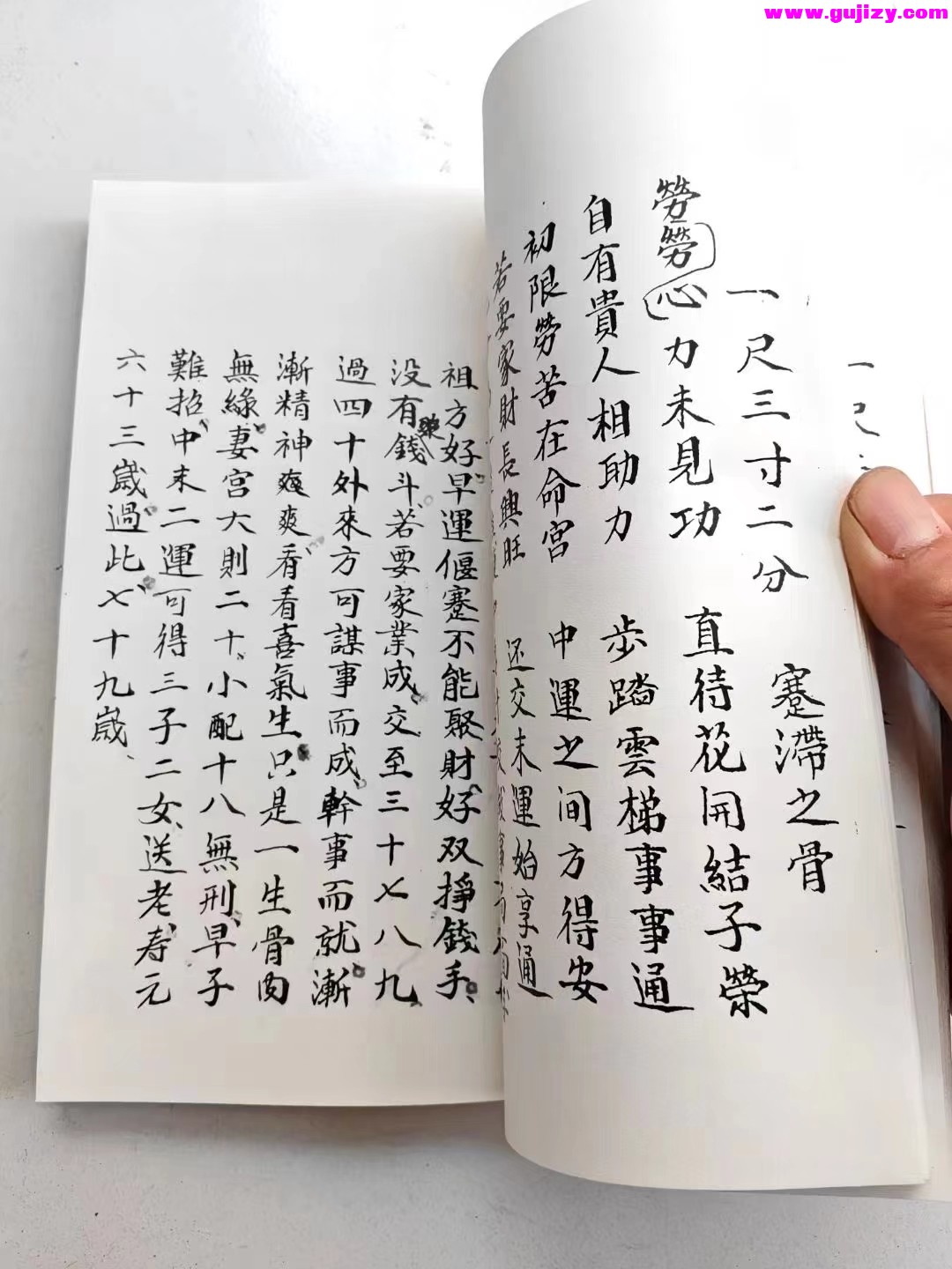 1725381811606.jpg