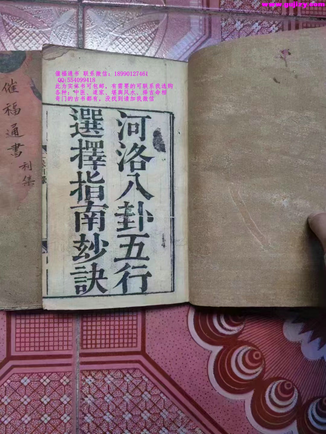 1725301015263.jpg