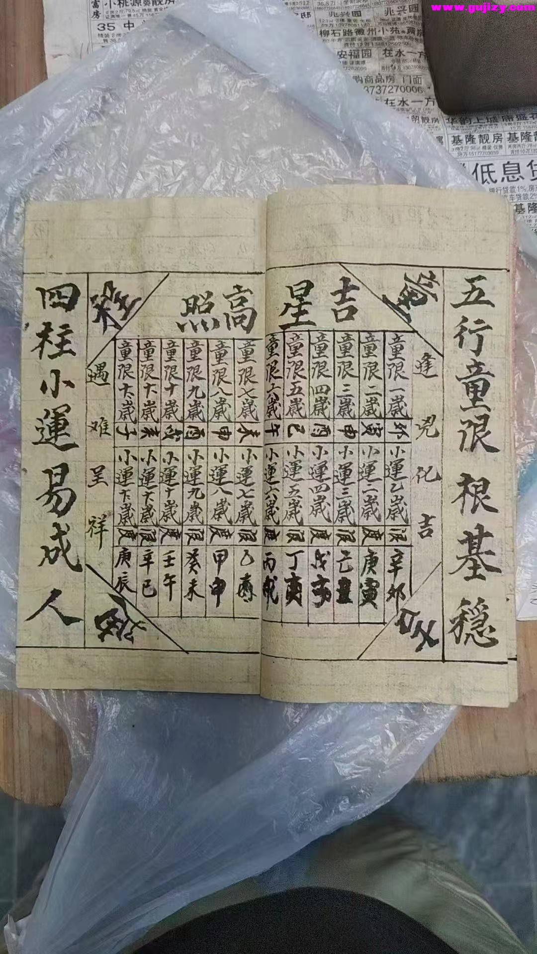 1739177196180.jpg