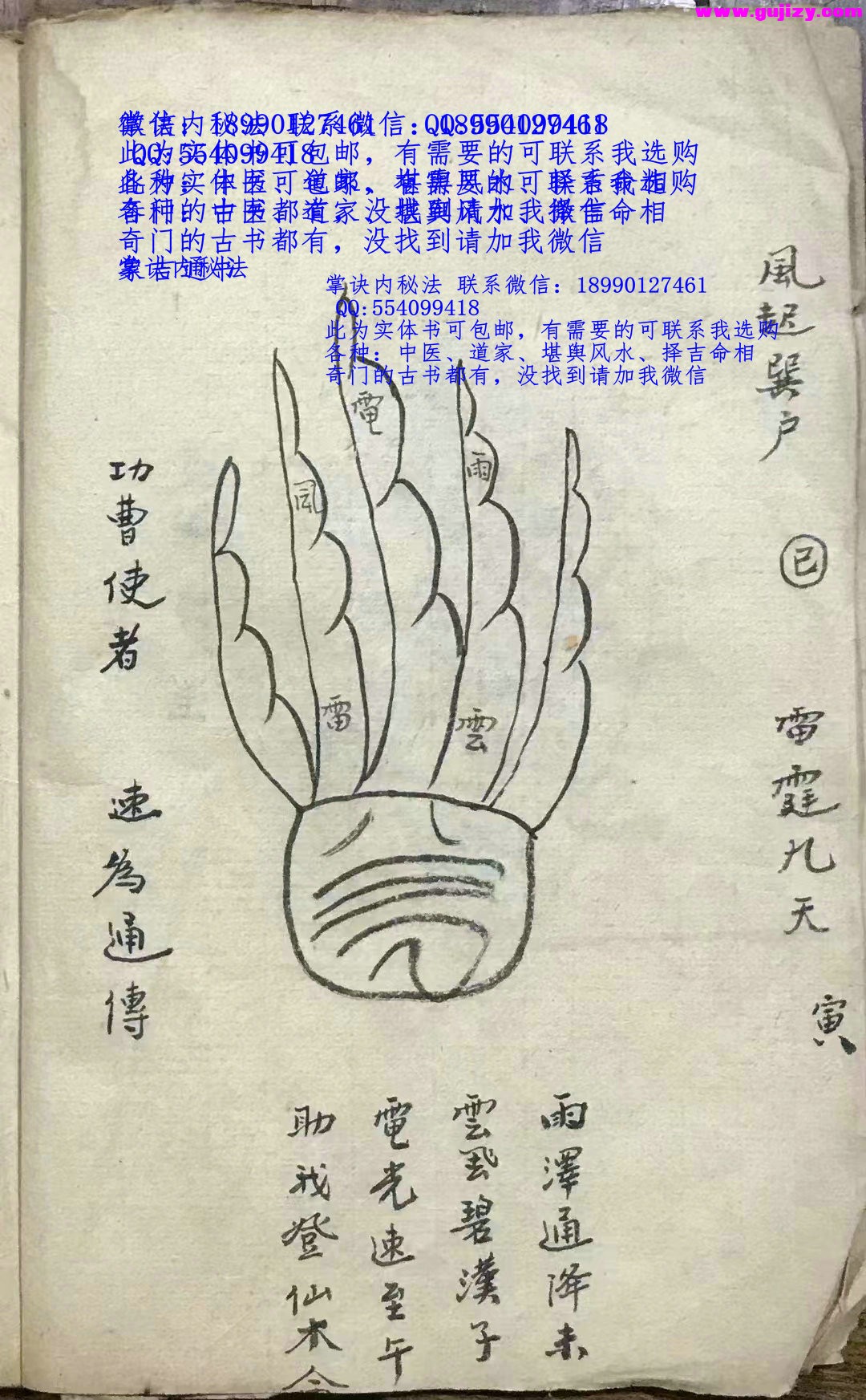 1722157552865.jpg