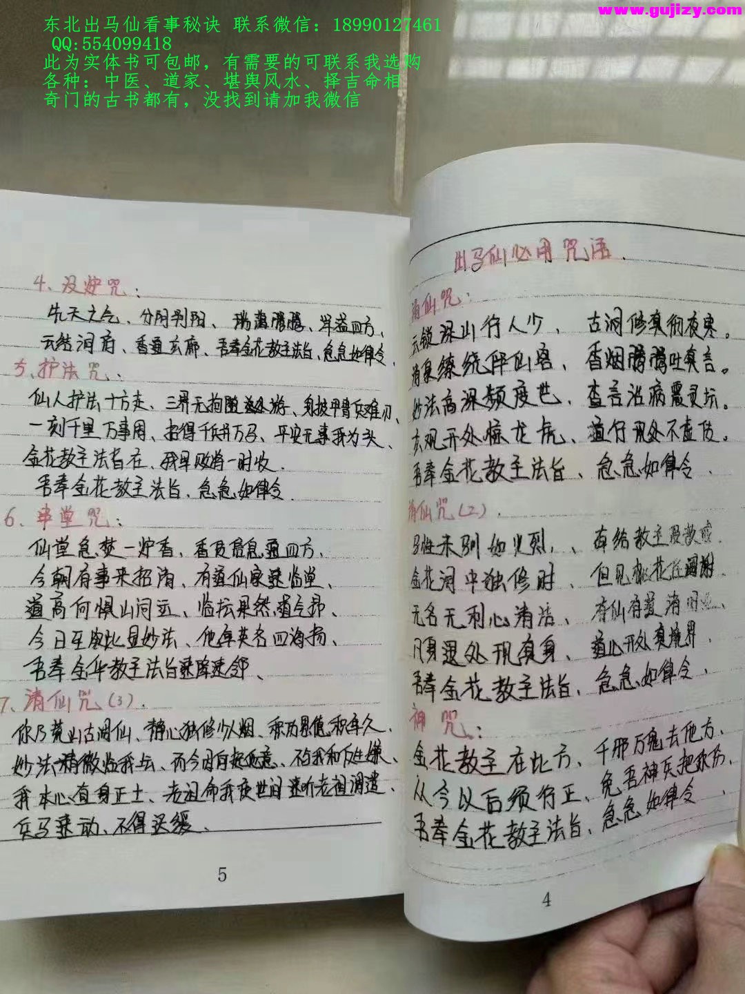 1725377529763.jpg