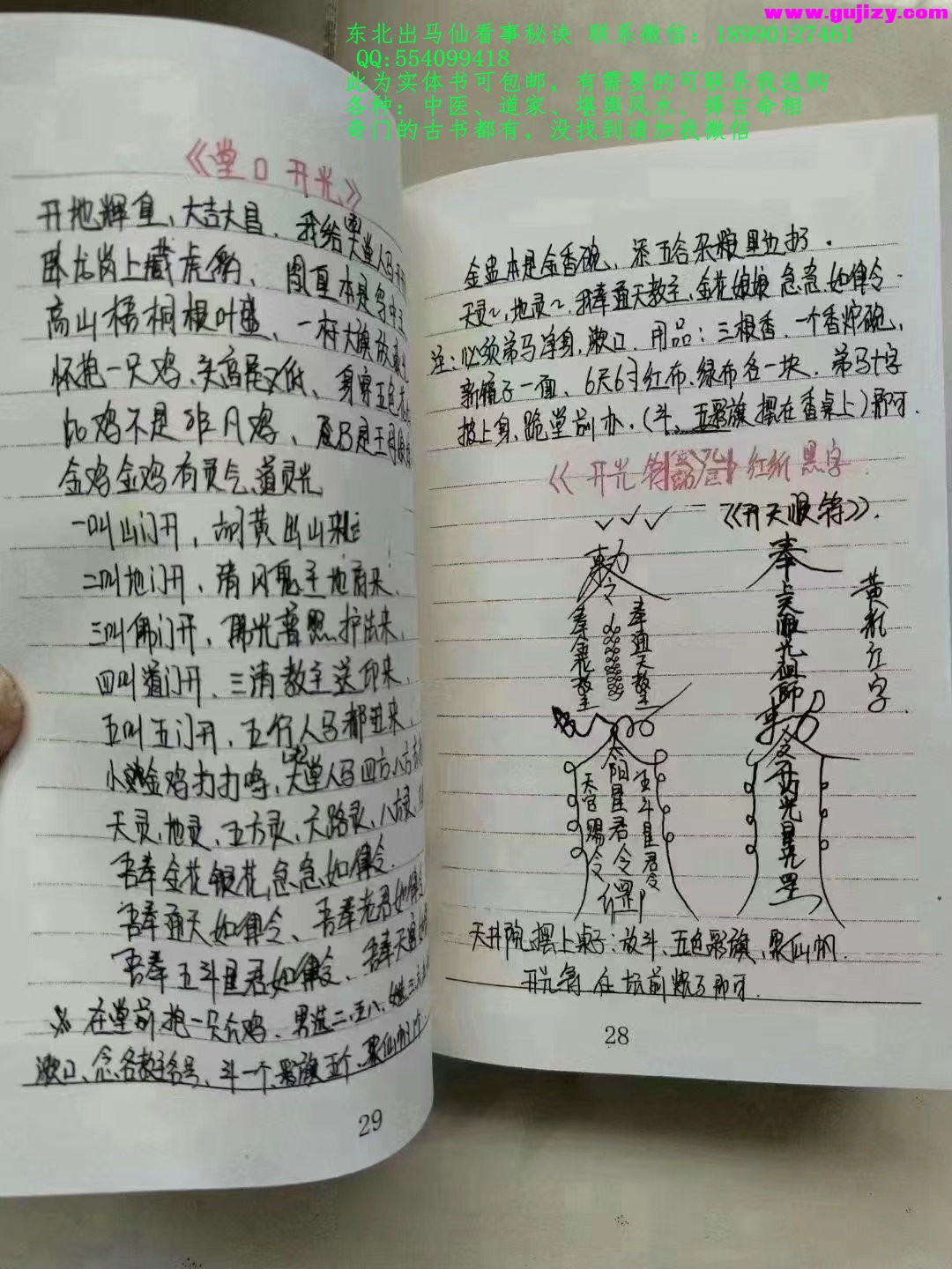 1725377532844.jpg