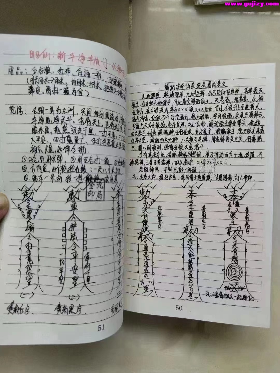 1725377537007.jpg