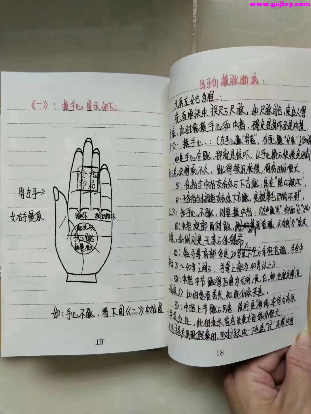 1725377540550.jpg