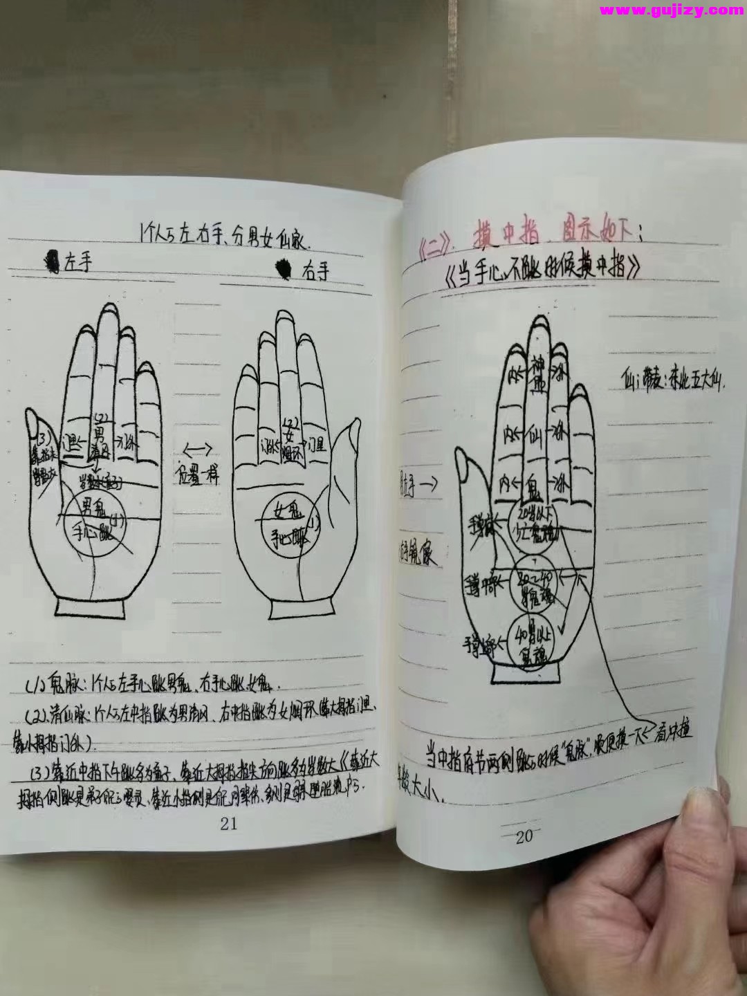 1725377538119.jpg