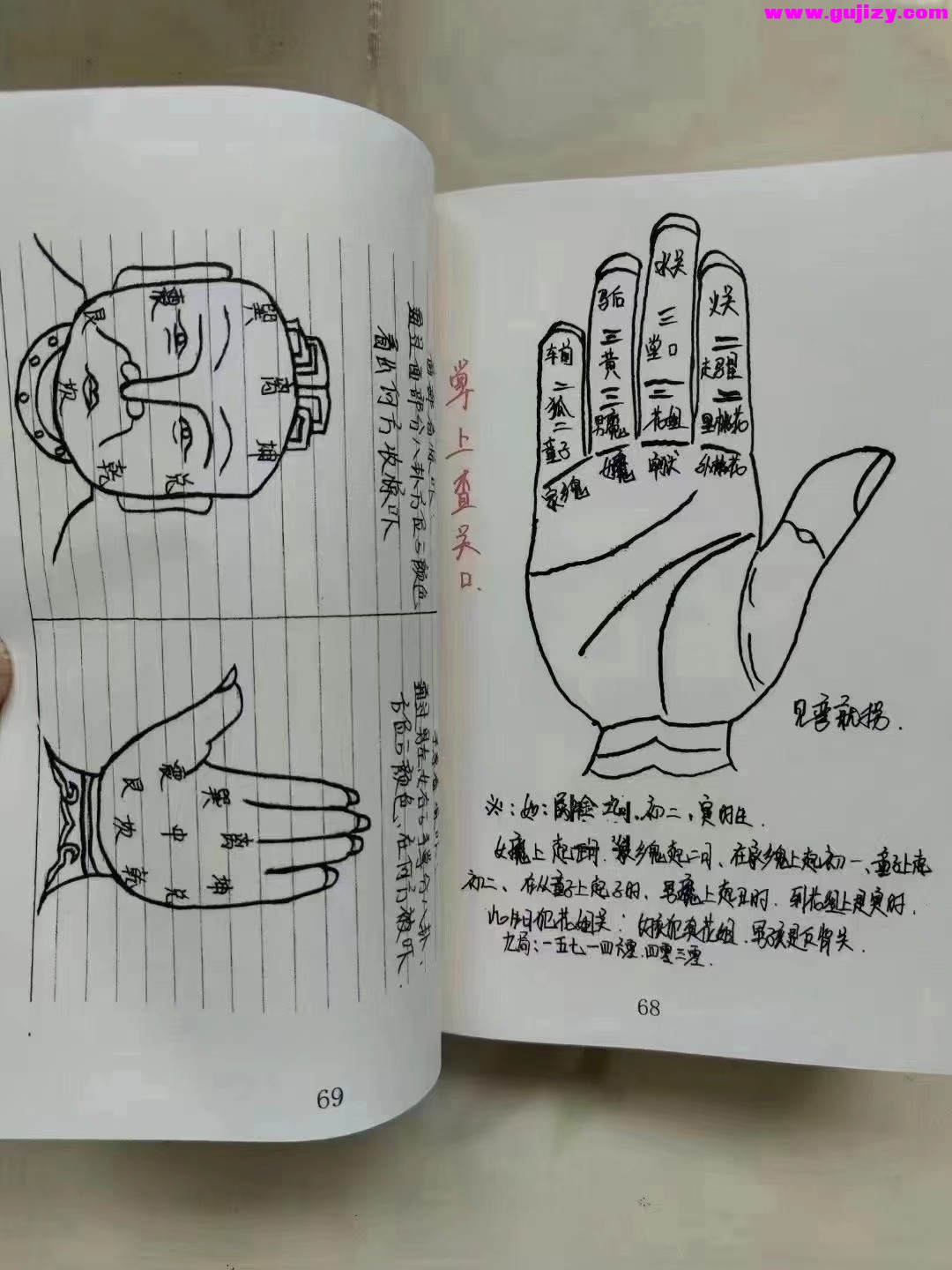 1725377541856.jpg