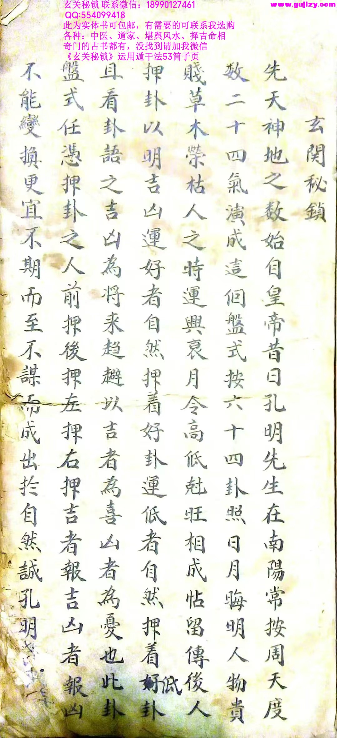 1739243076177.jpg