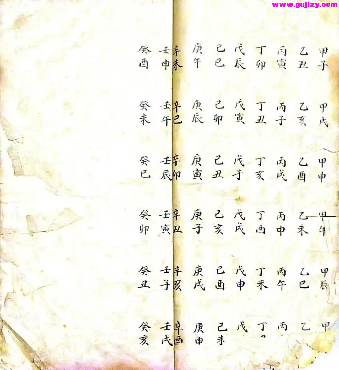 1739243081485.jpg