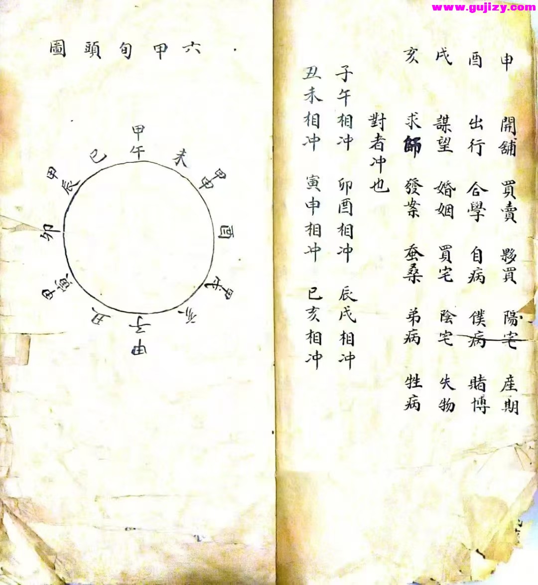 1739243084817.jpg