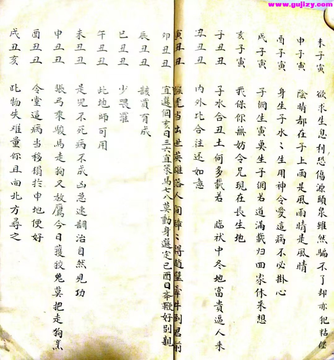 1739243087411.jpg