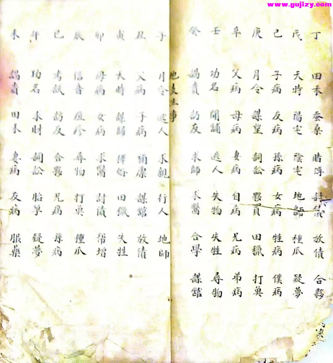 1739243092885.jpg