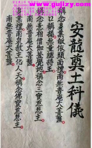 1725299921572.jpg