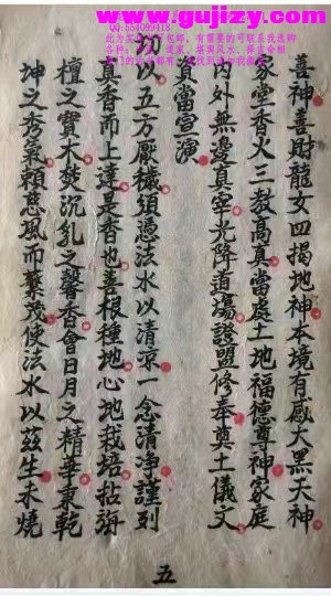 1725299927731.jpg