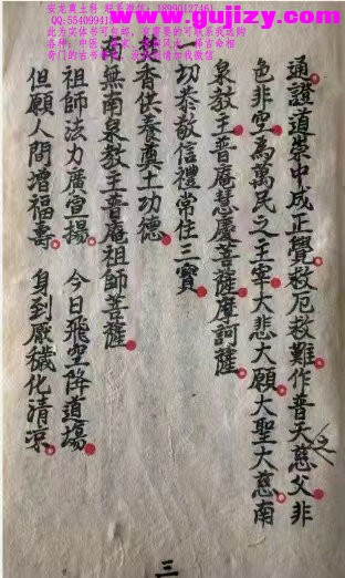 1725299926214.jpg