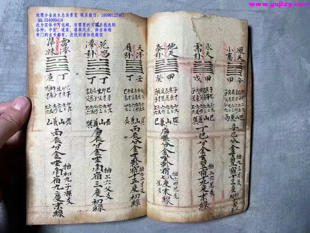 1723048384484.jpg