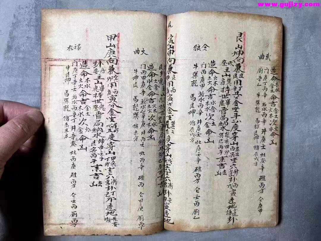 1723048392820.jpg