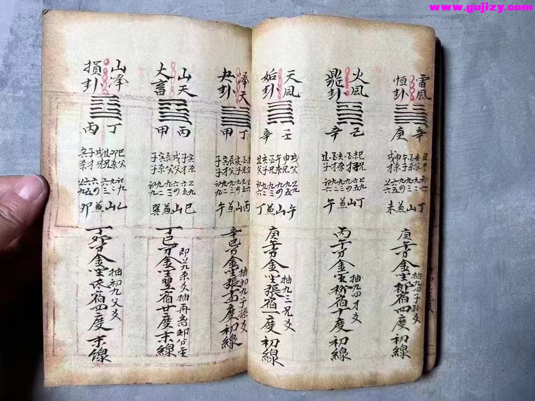 1723048394625.jpg