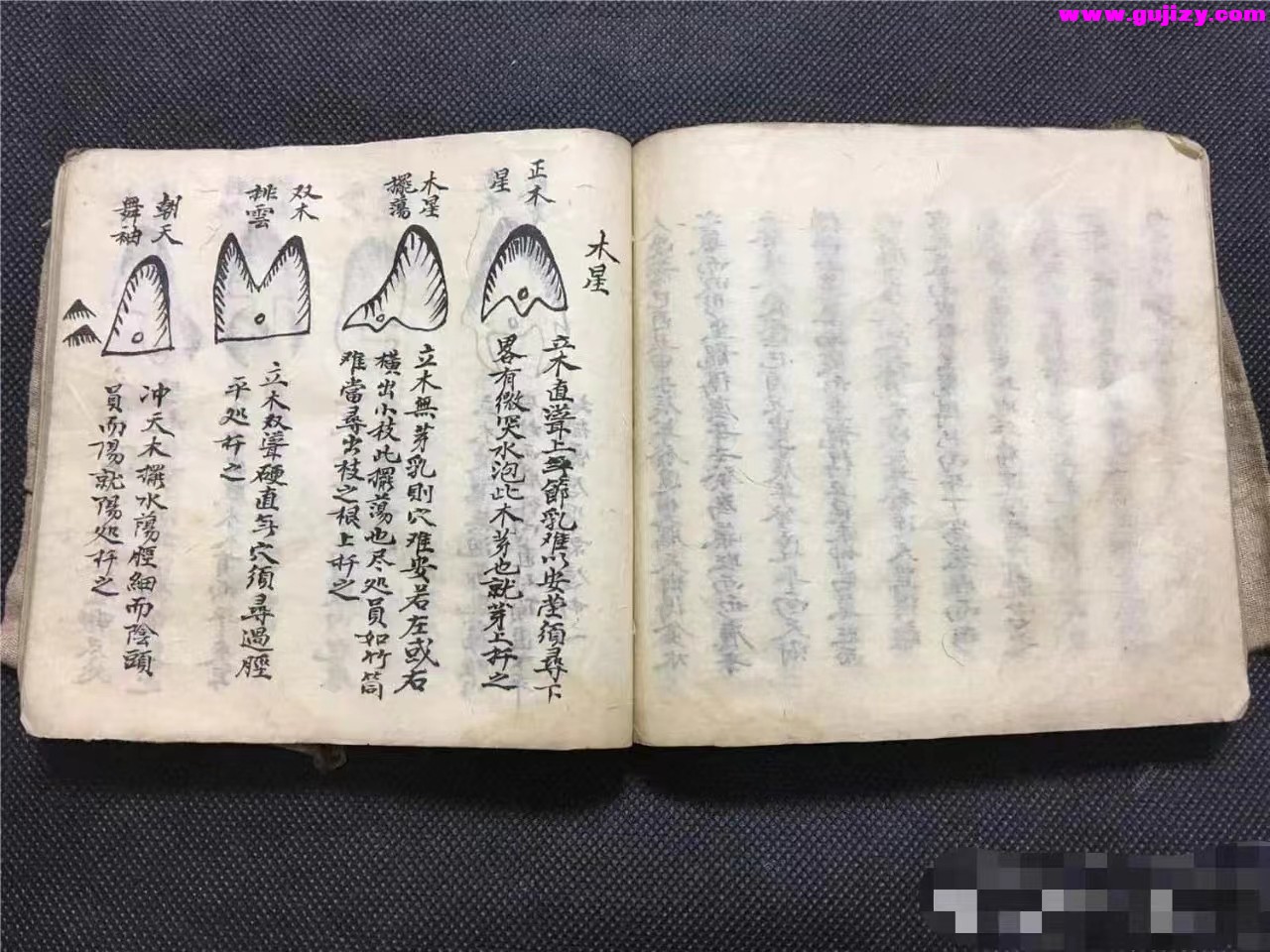 1725378656181.jpg