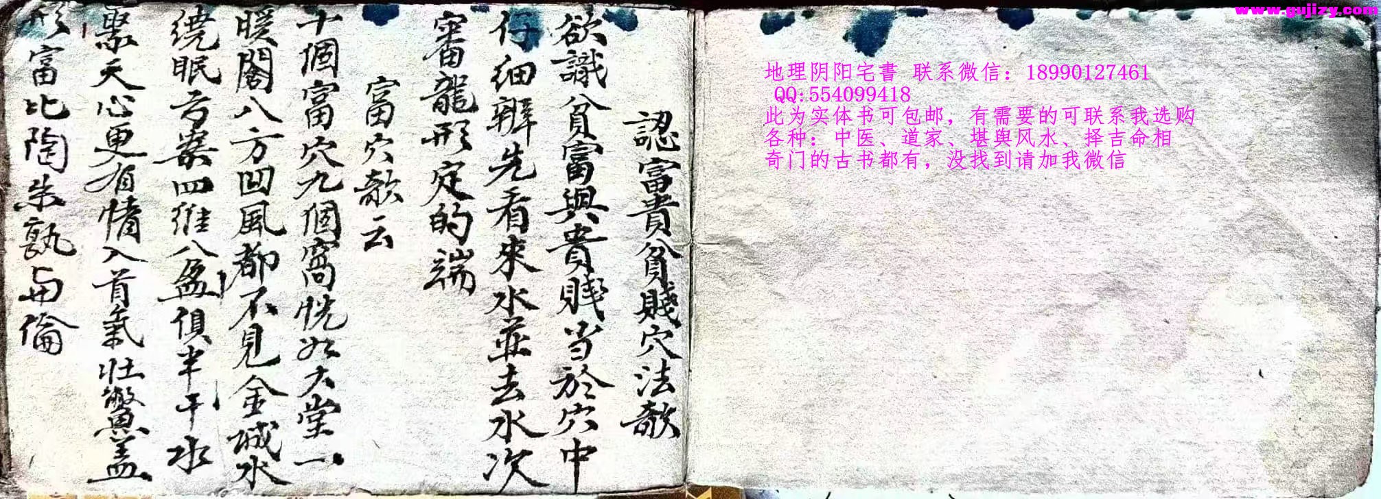 1739344083942.jpg