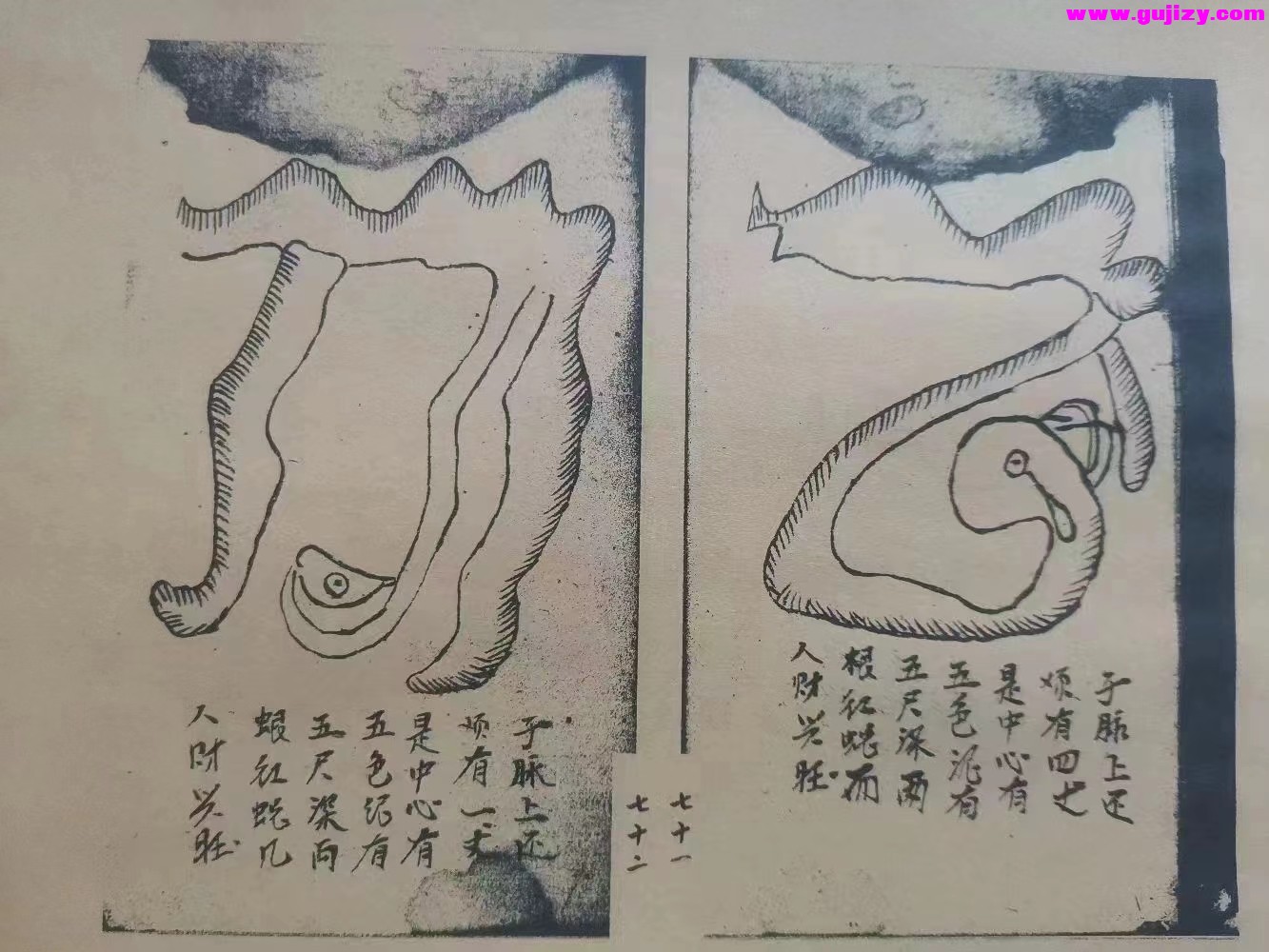 1722165391532.jpg