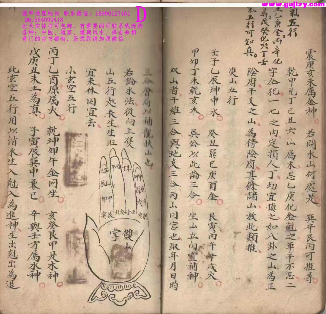 1723183378875.jpg