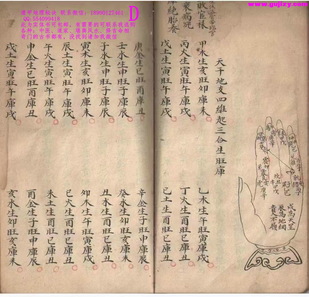 1723183377316.jpg