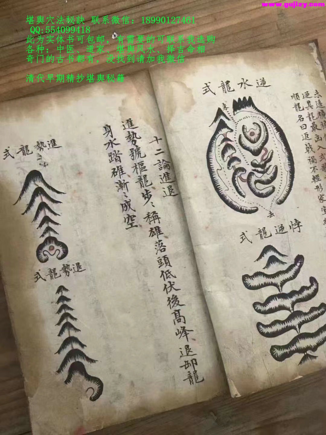 1722164867803.jpg