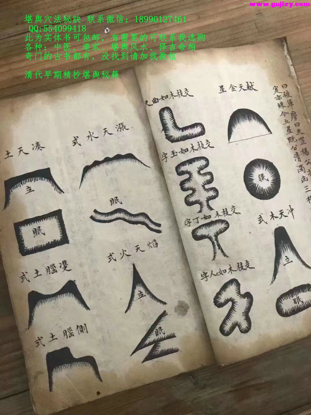 1722164869339.jpg