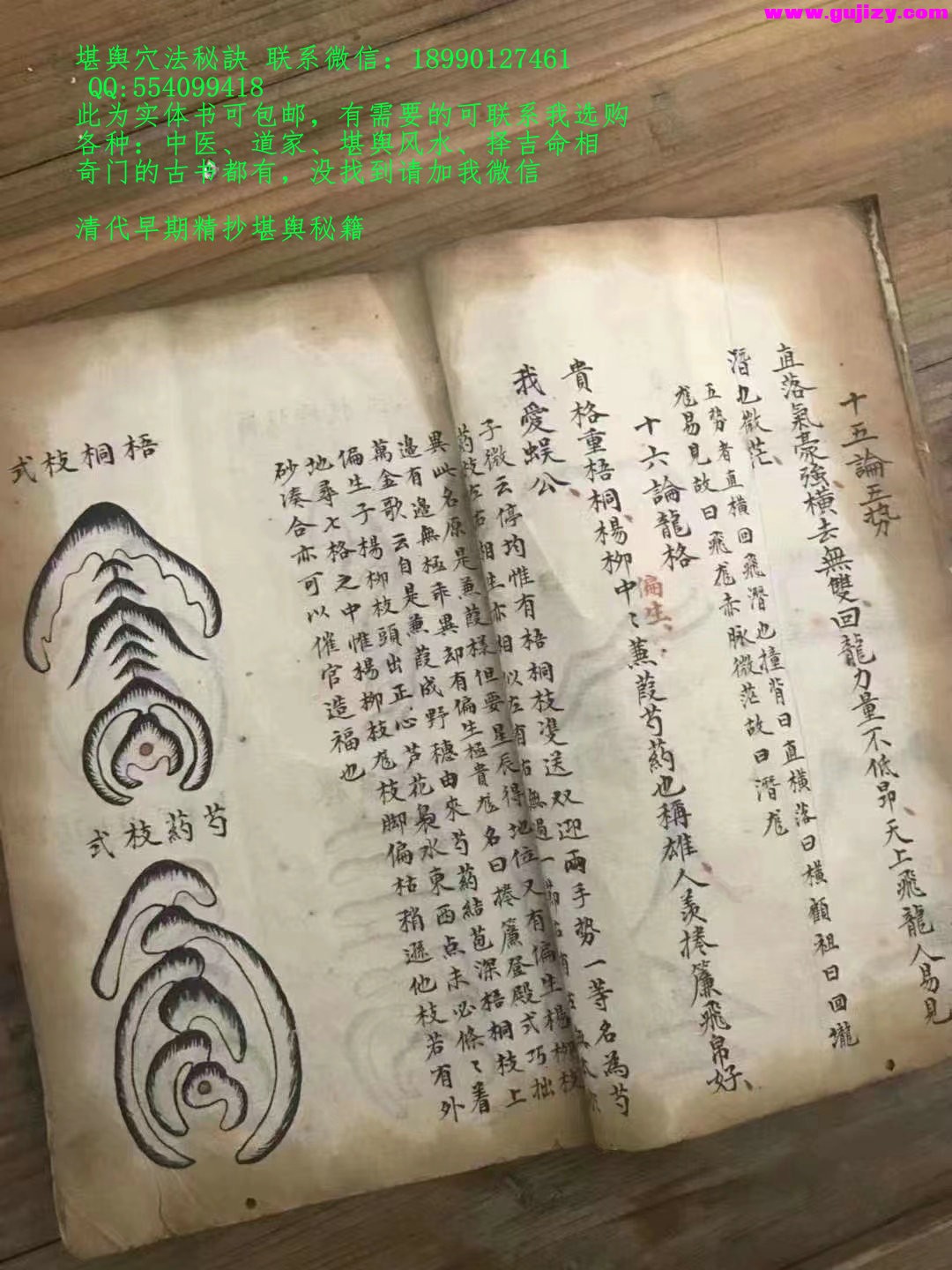 1722164875465.jpg