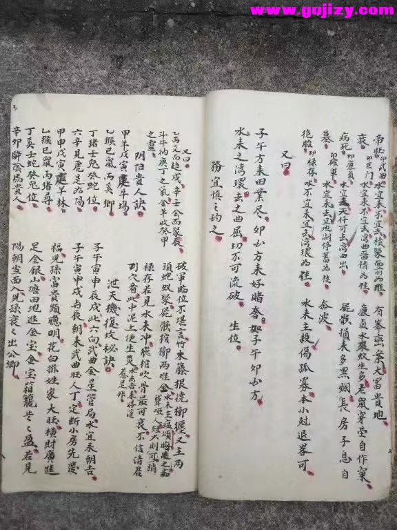 1723399091147.jpg