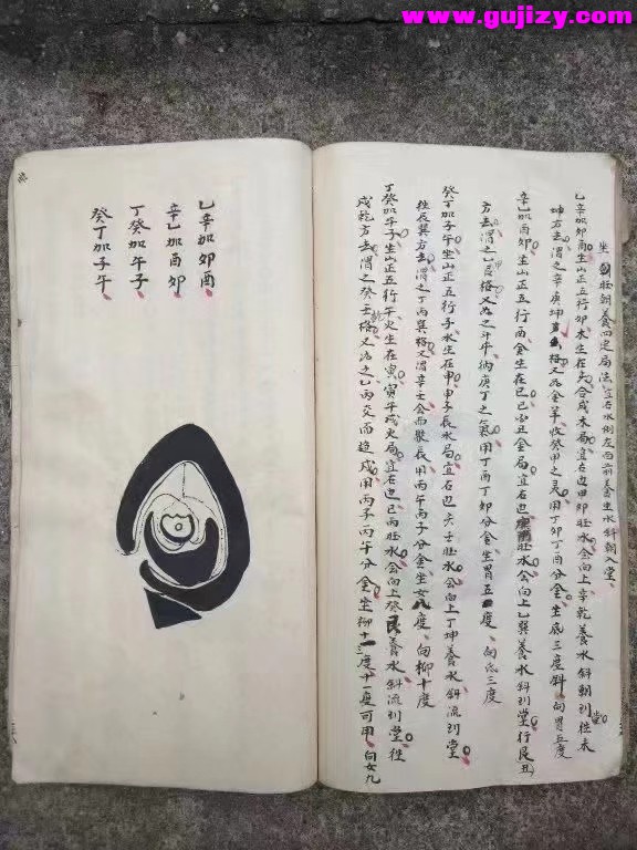 1723399096370.jpg