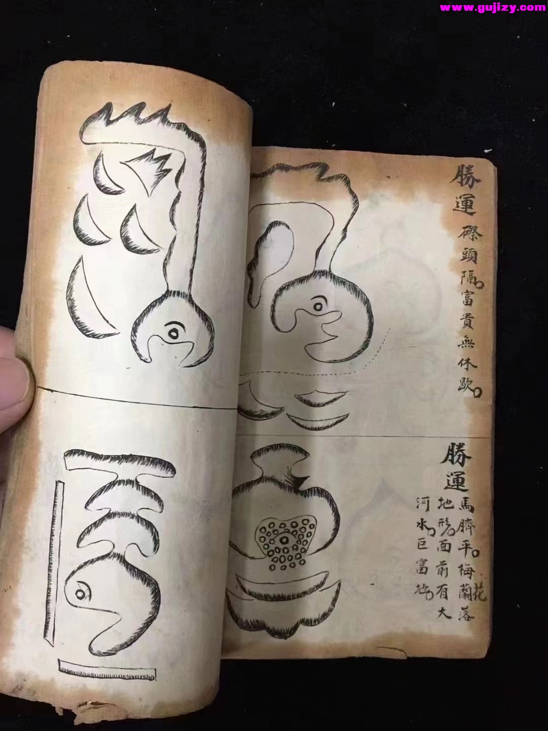 1722142071805.jpg