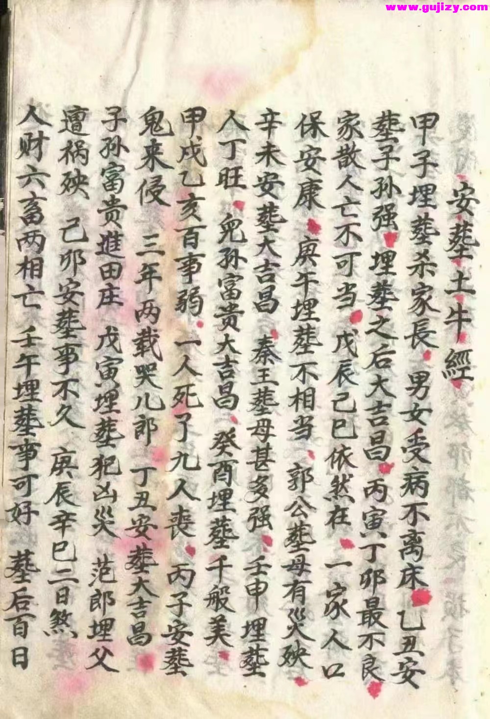 1722154162039.jpg