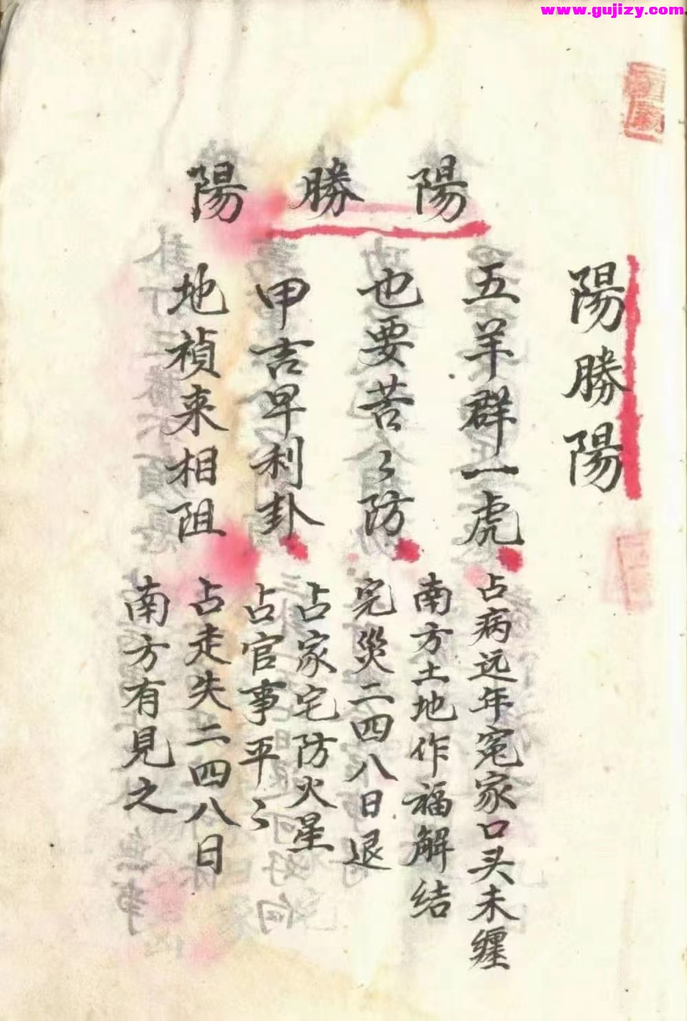 1722154168640.jpg