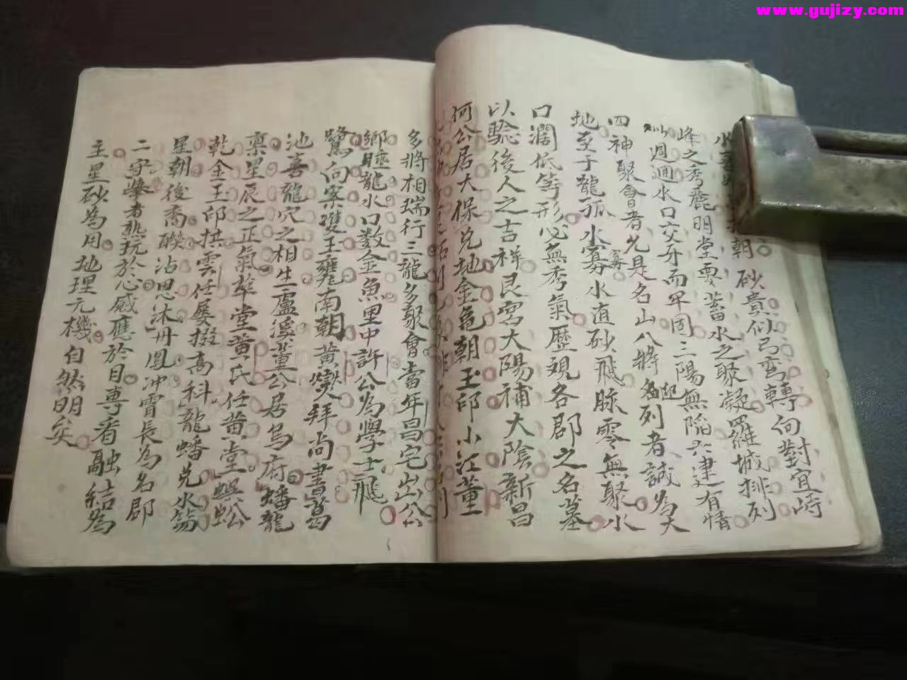 1723396231400.jpg