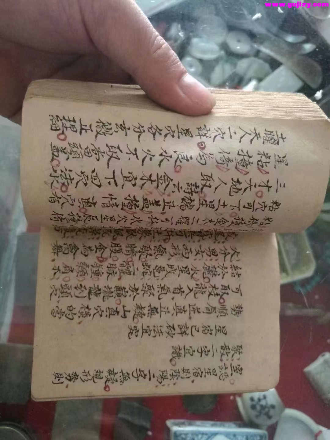 1723396238120.jpg