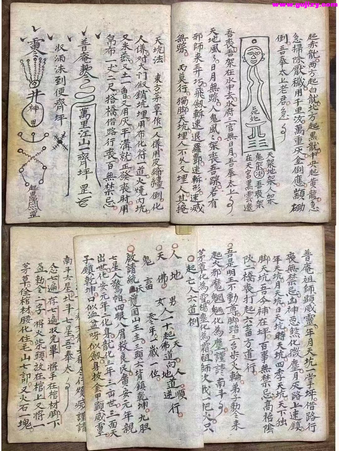 1737380754816.jpg