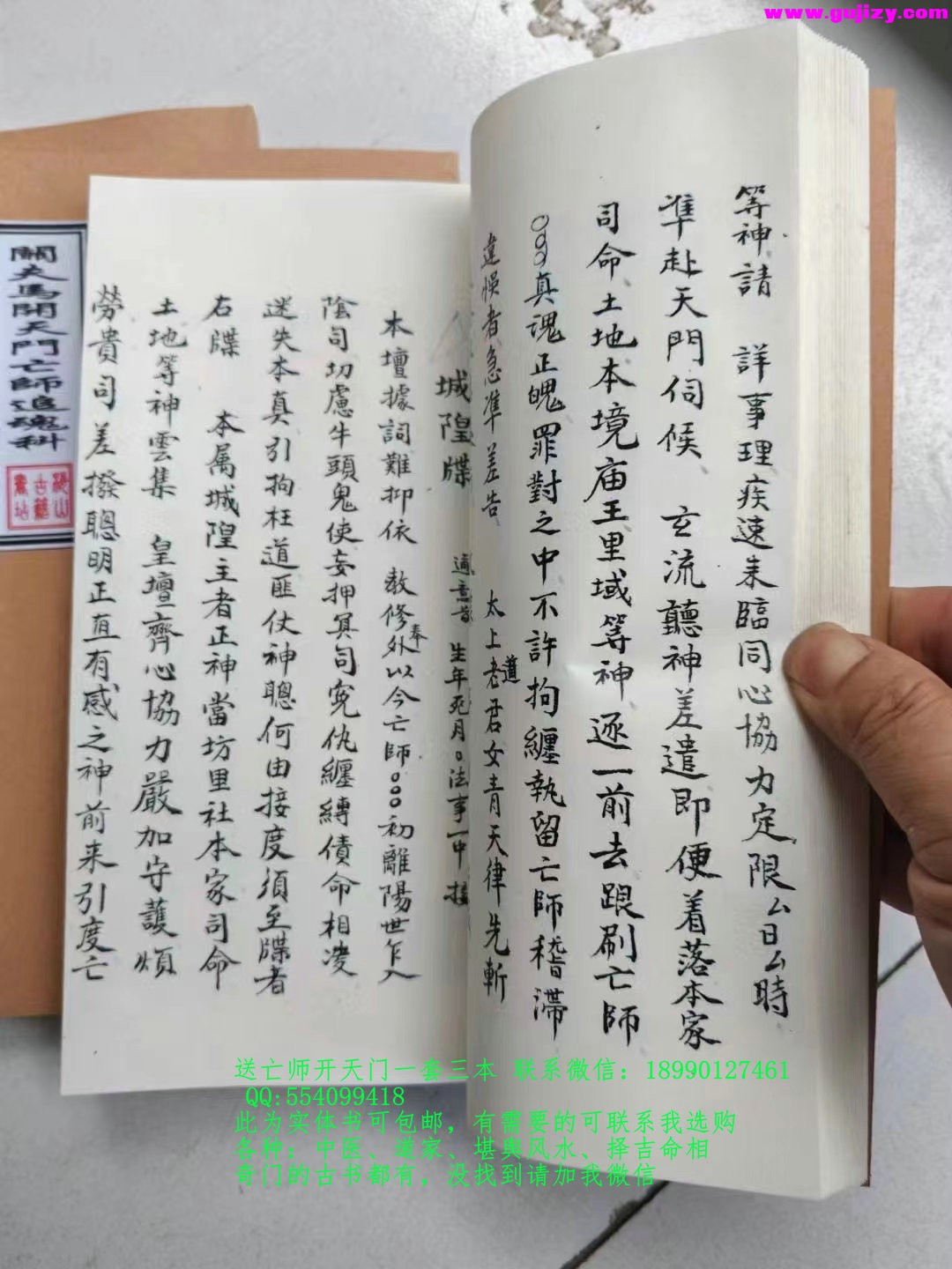 1723189531561.jpg