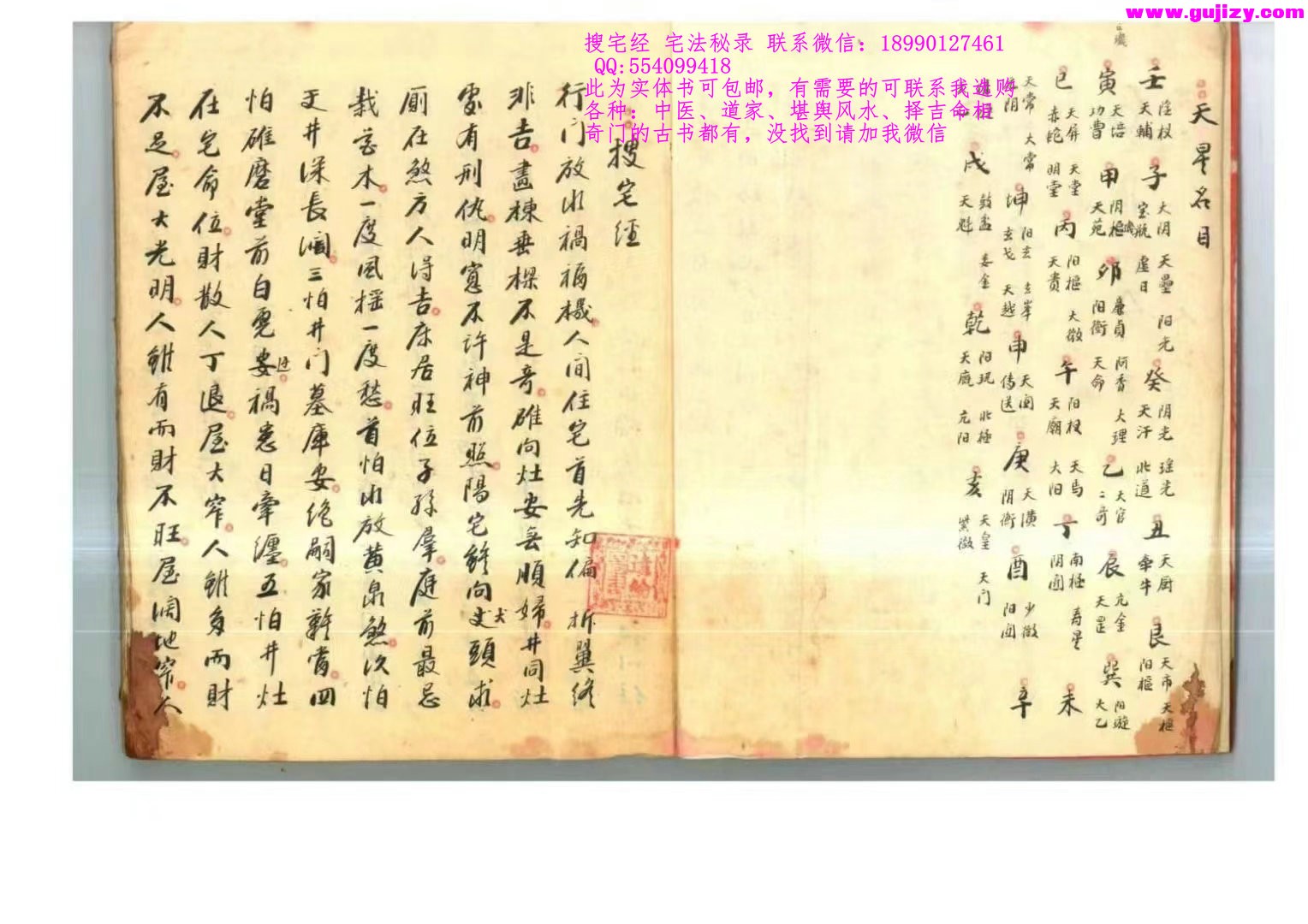 1725299295216.jpg