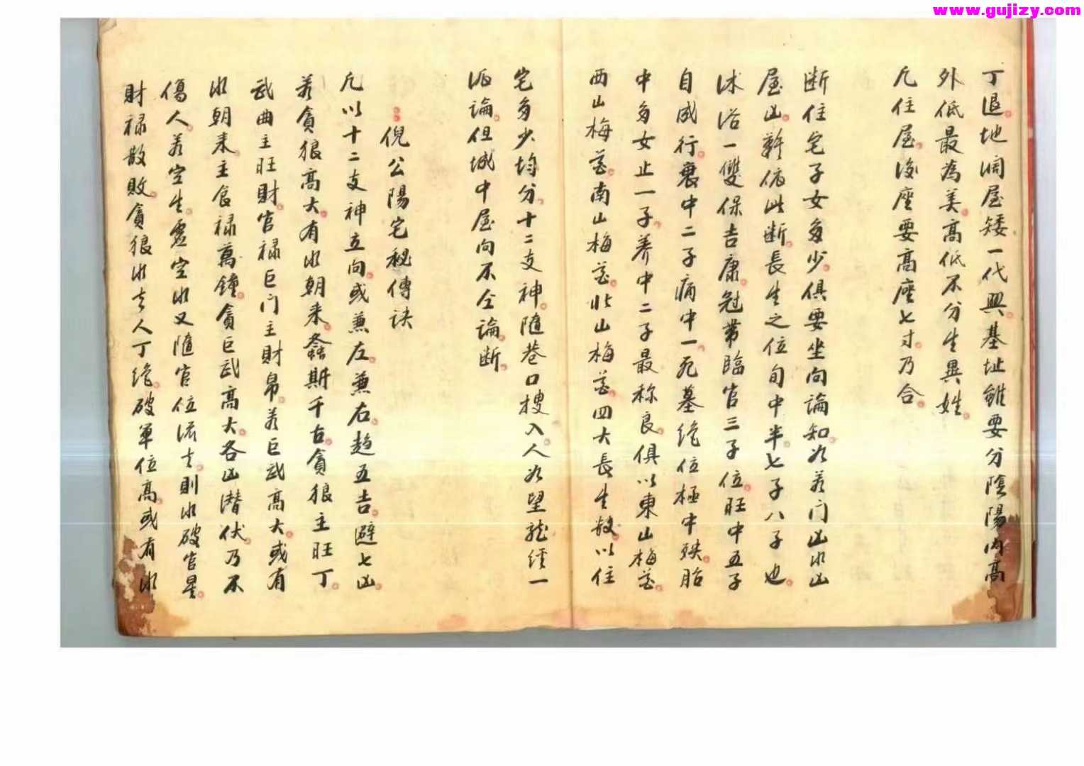 1725299297090.jpg